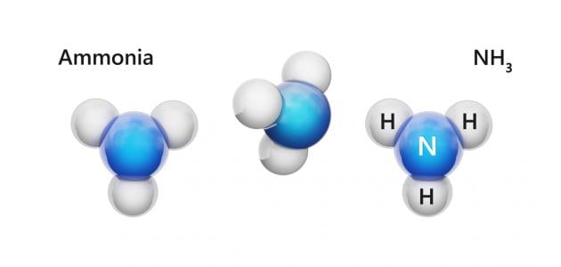 الخصائص الفيزيائية والكيميائية لـ NH3 مقابل NH4