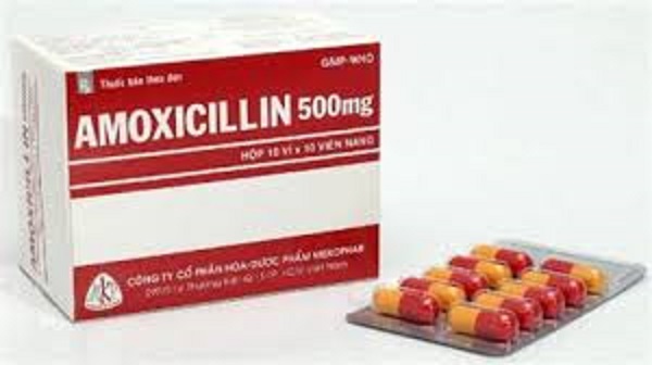 Amoxicillin دواعي الاستعمال