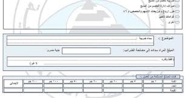 ما هو نموذج بيانات سداد مستحقات ضريبية نقدًا ولماذا هو مهم