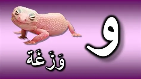 حيوان بحرف الواو من أربع حروف