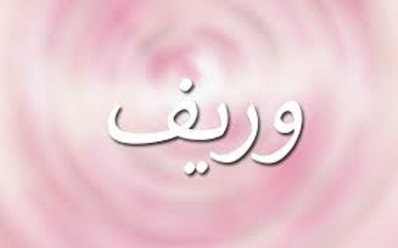 كيف يكتب اسم وريف بالإنجليزي