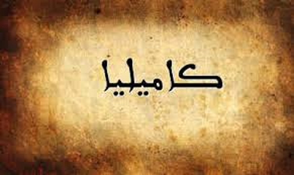 اسم كاميليا بالخط العربي لوحة فنية راقية