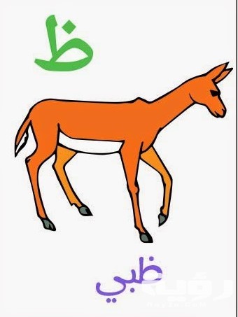 اسم حيوان بحرف ظ الظاء