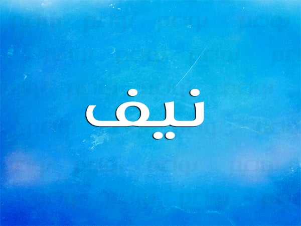 ما معنى كلمة "النيف"